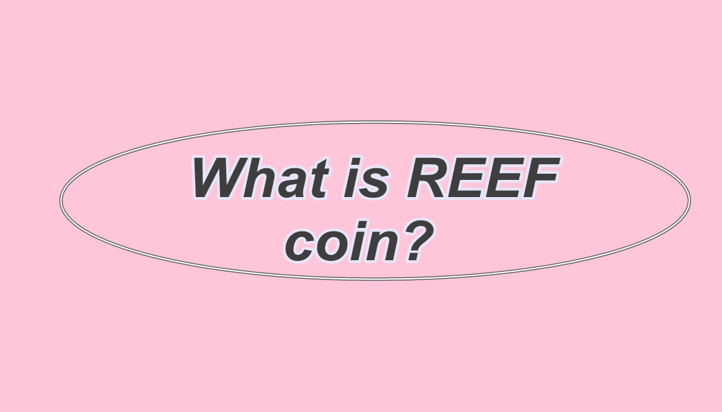 What is REEF coin and how does it work? - Financial Economy
