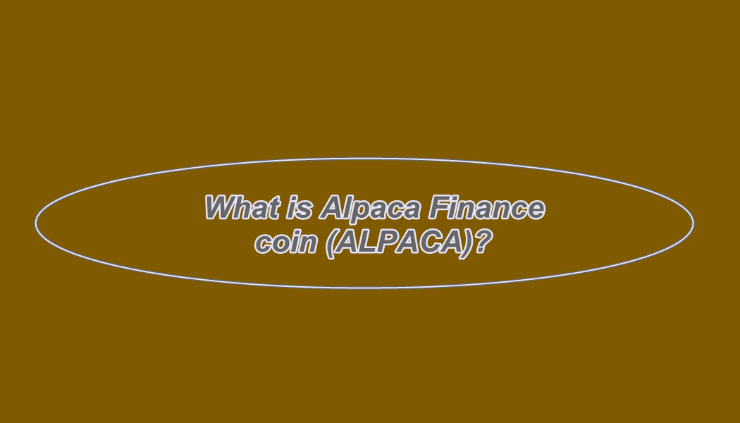 Finance alpaca Is Alpaca
